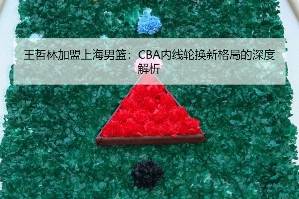 王哲林加盟上海男篮：CBA内线轮换新格局的深度解析