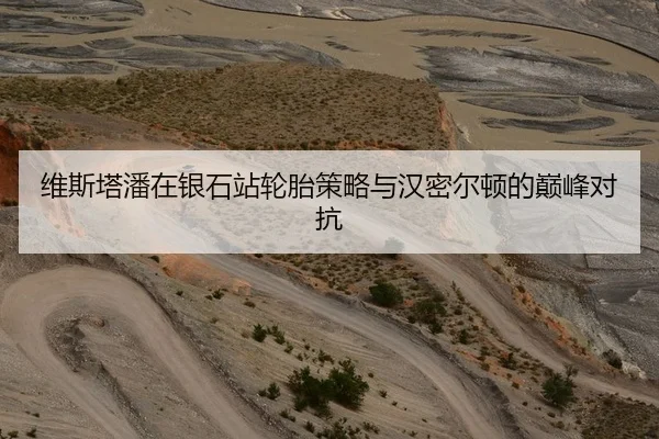 维斯塔潘在银石站轮胎策略与汉密尔顿的巅峰对抗