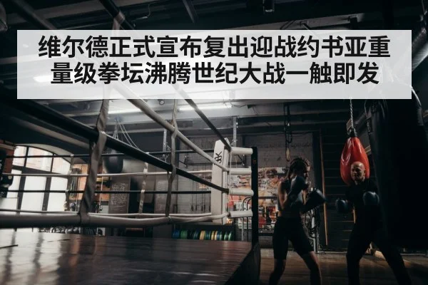 维尔德正式宣布复出迎战约书亚重量级拳坛沸腾世纪大战一触即发