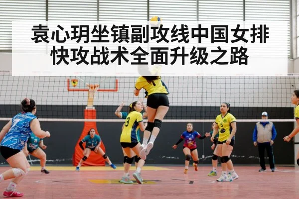 chinese women volleyball team