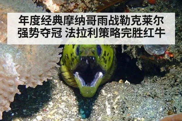 年度经典摩纳哥雨战勒克莱尔强势夺冠 法拉利策略完胜红牛